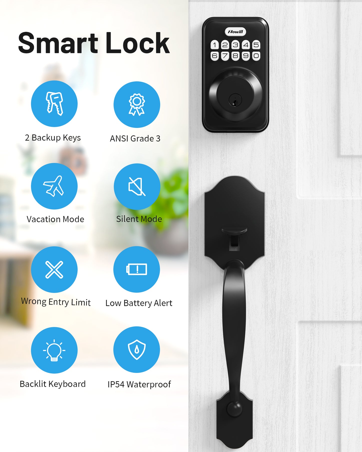 Zowill Keypad Digital Deadbolt with Handle Sets DK01-H